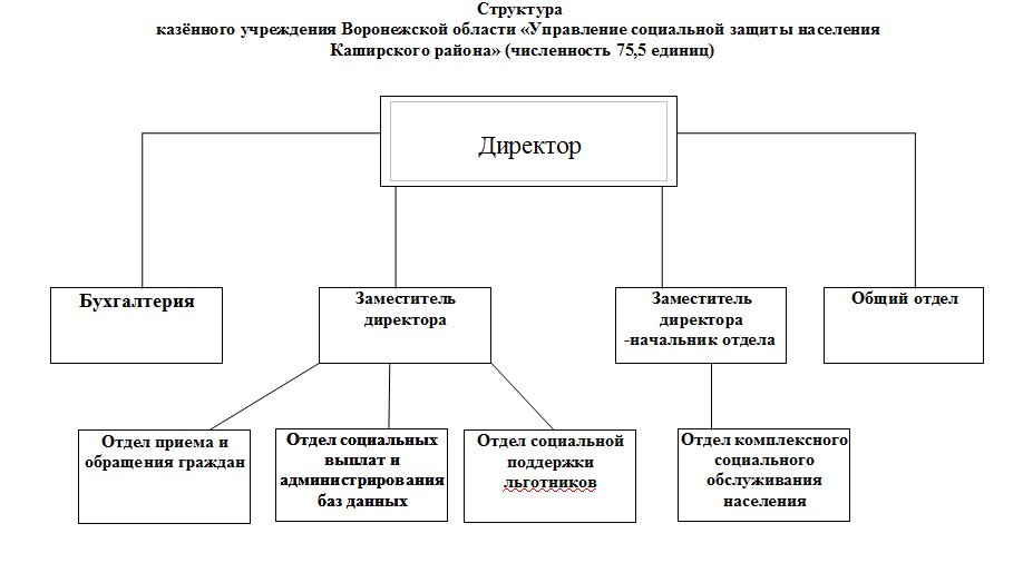 Нак руководство структура функции